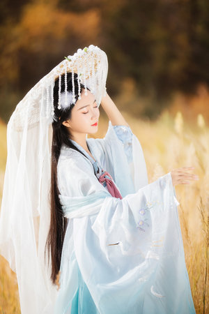 《激战后花园2》电影在线看